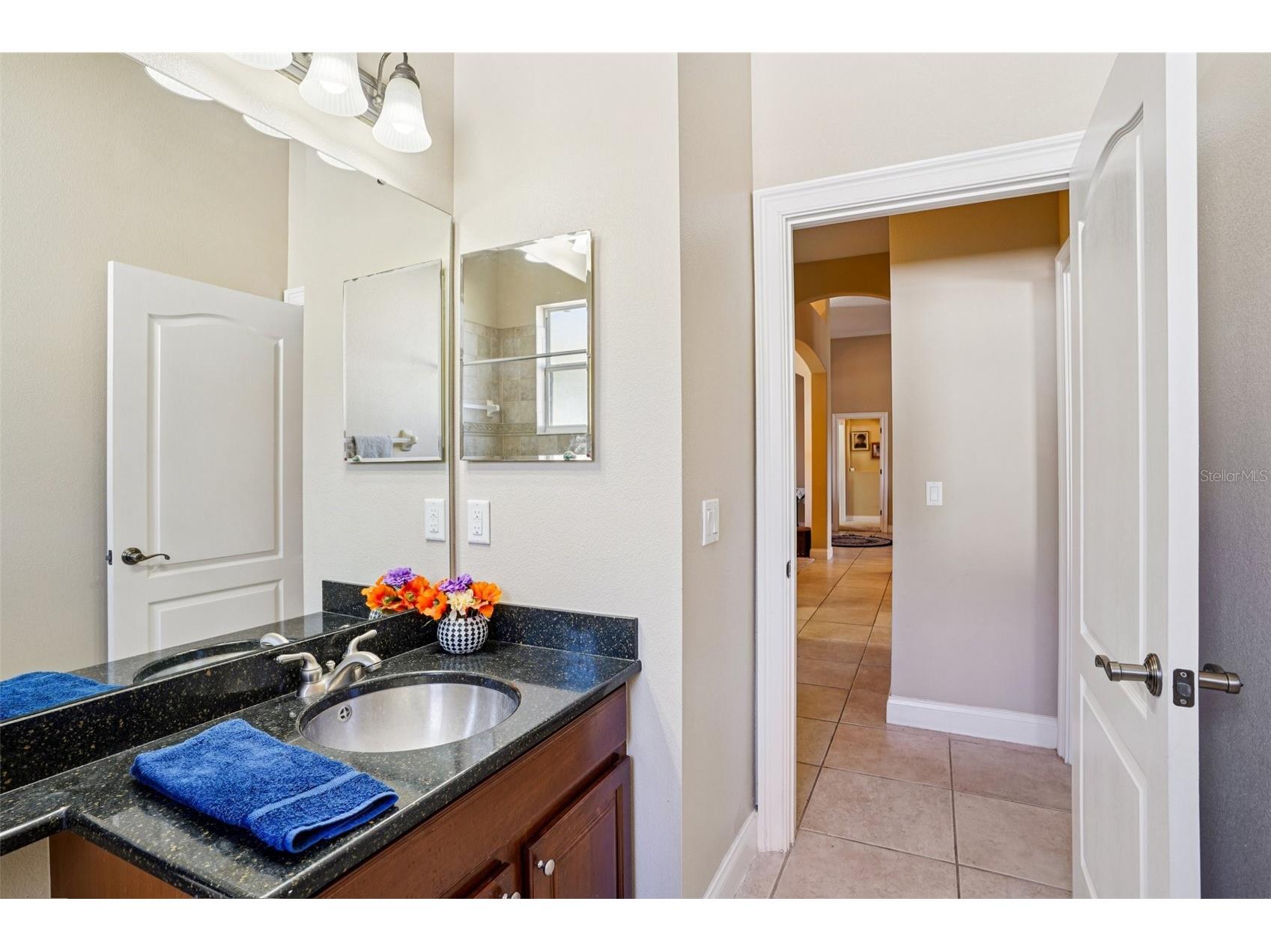 6114 Tremayne Drive Mount Dora FL 32757 G5107905 image36