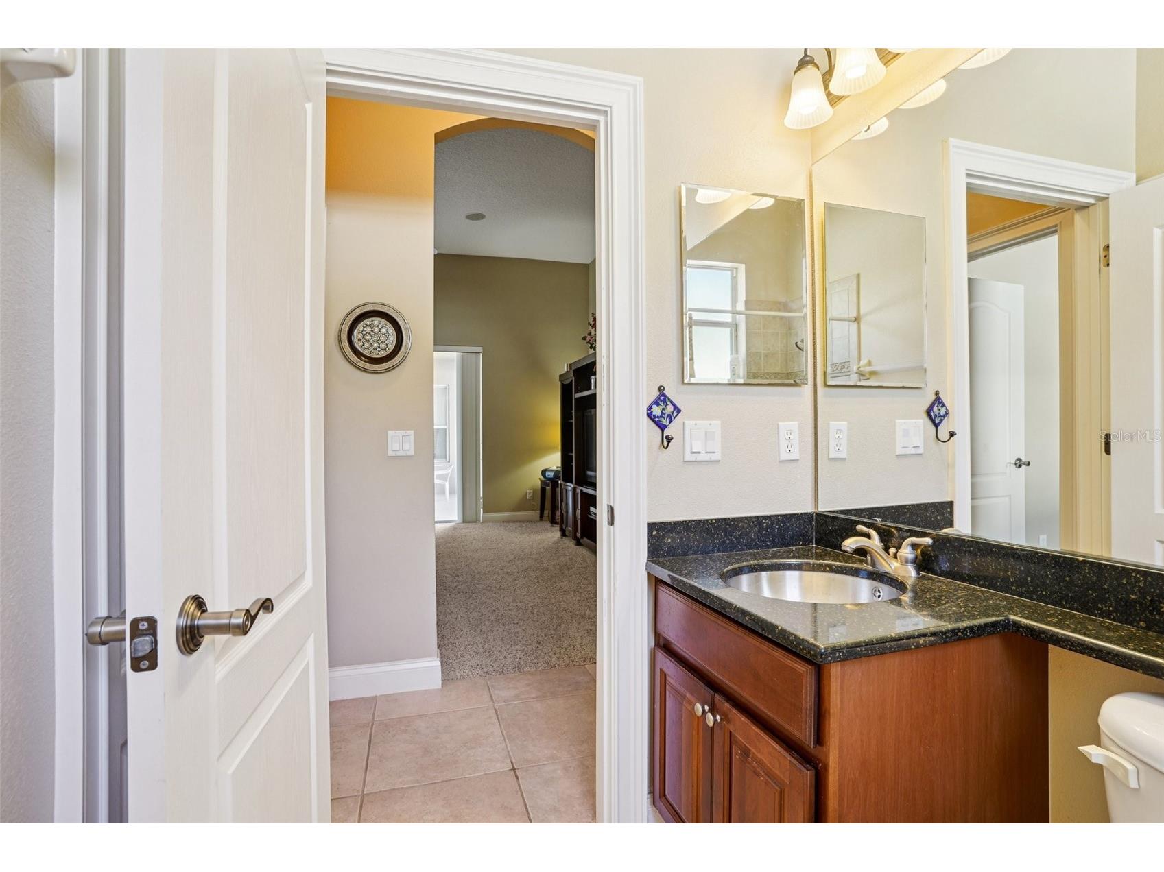 6114 Tremayne Drive Mount Dora FL 32757 G5107905 image40