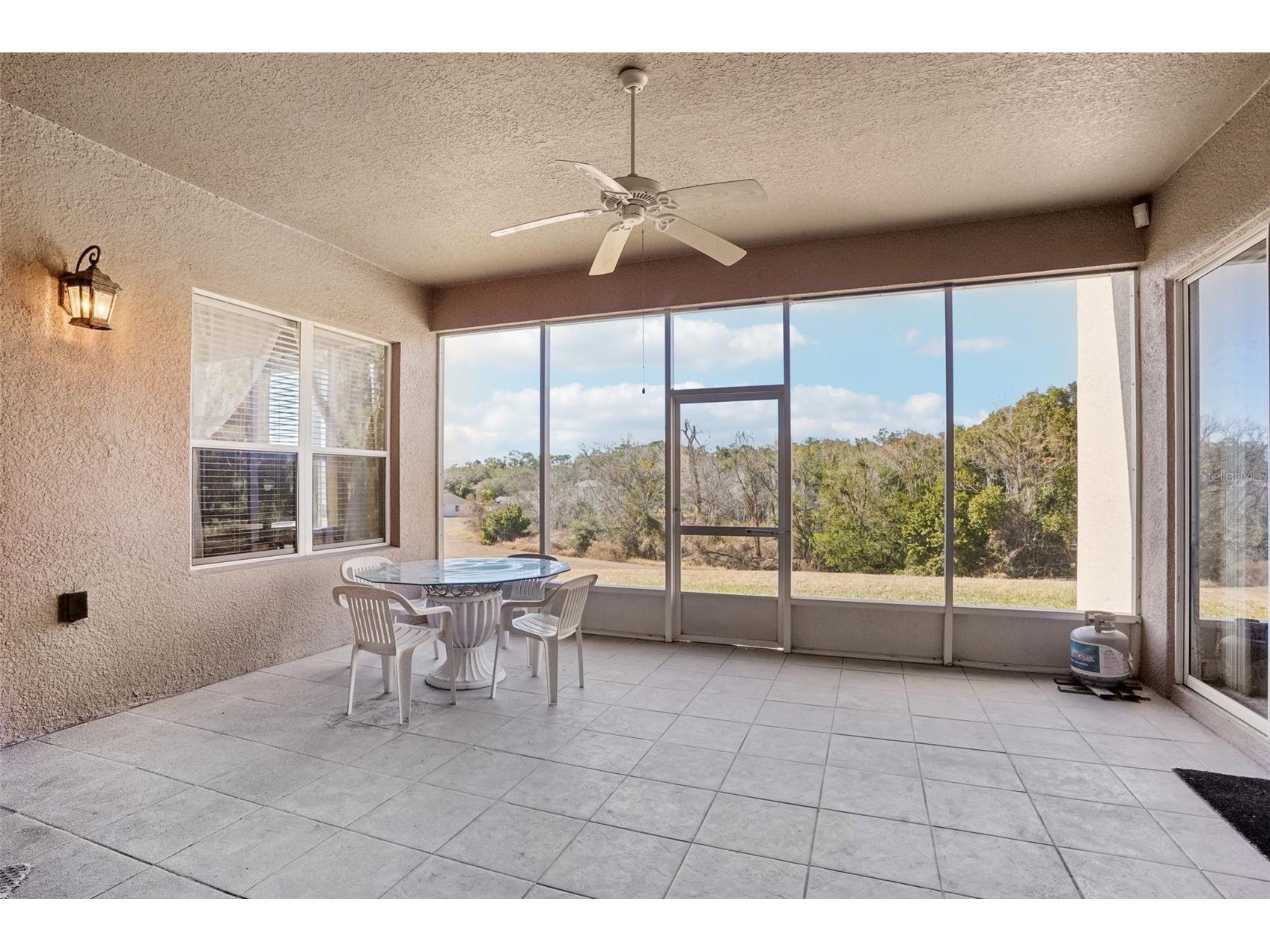 6114 Tremayne Drive Mount Dora FL 32757 G5107905 image46
