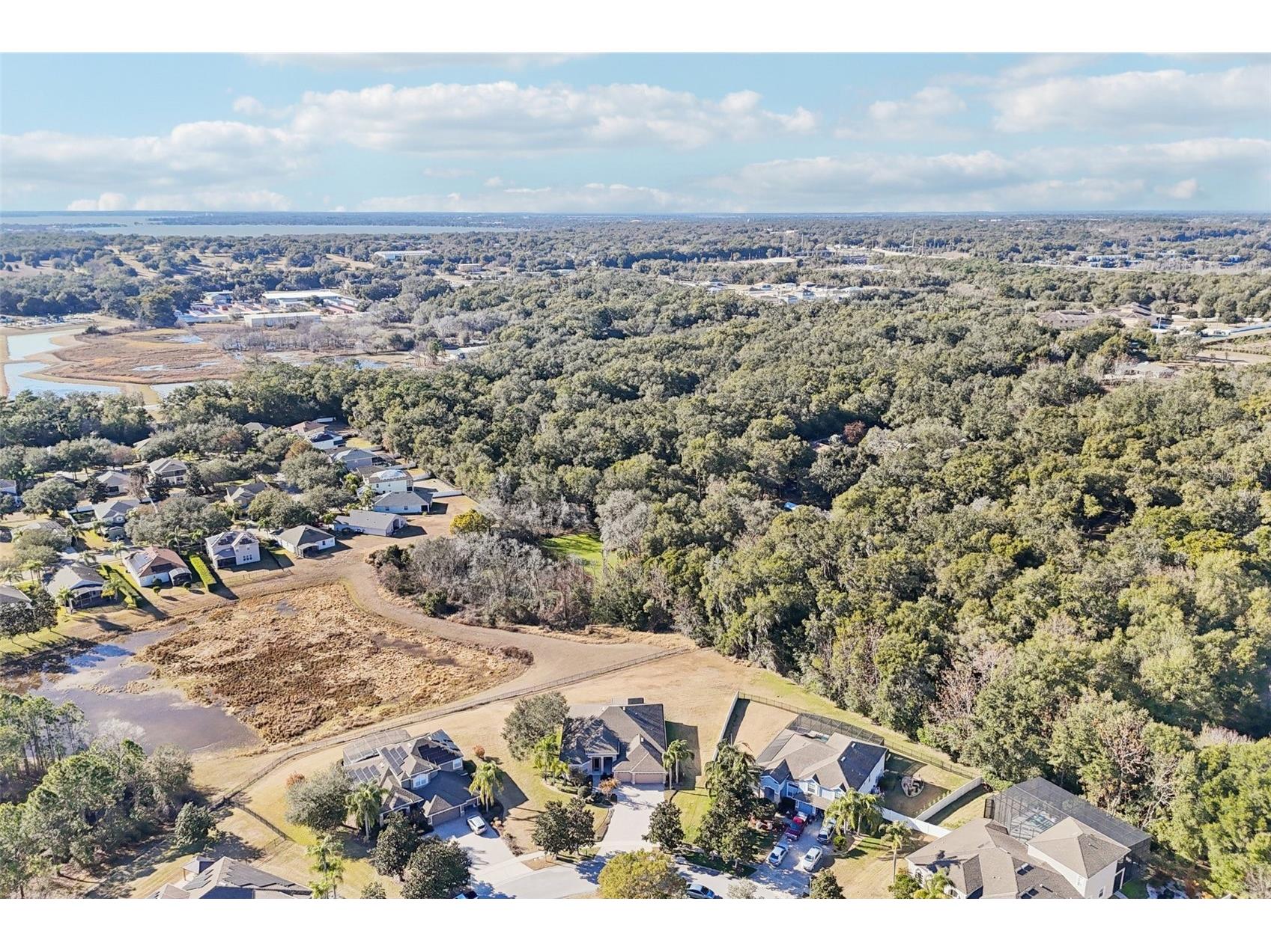 6114 Tremayne Drive Mount Dora FL 32757 G5107905 image65