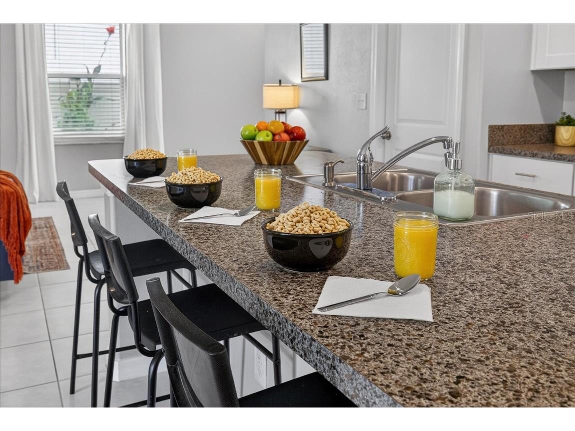 6115 Apple Snail Avenue New Port Richey FL 34653 W7881160 image13