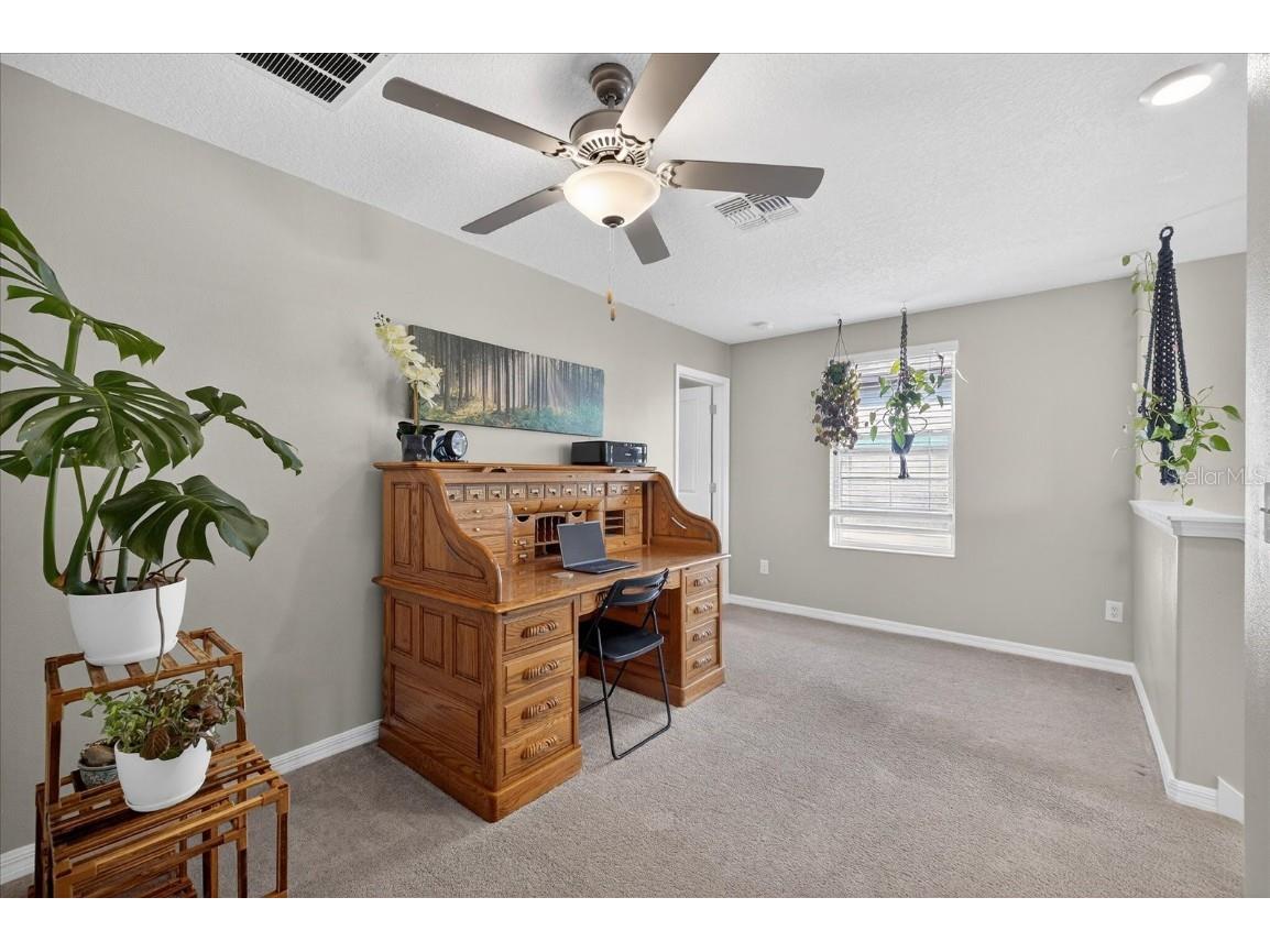 6115 Apple Snail Avenue New Port Richey FL 34653 W7881160 image14