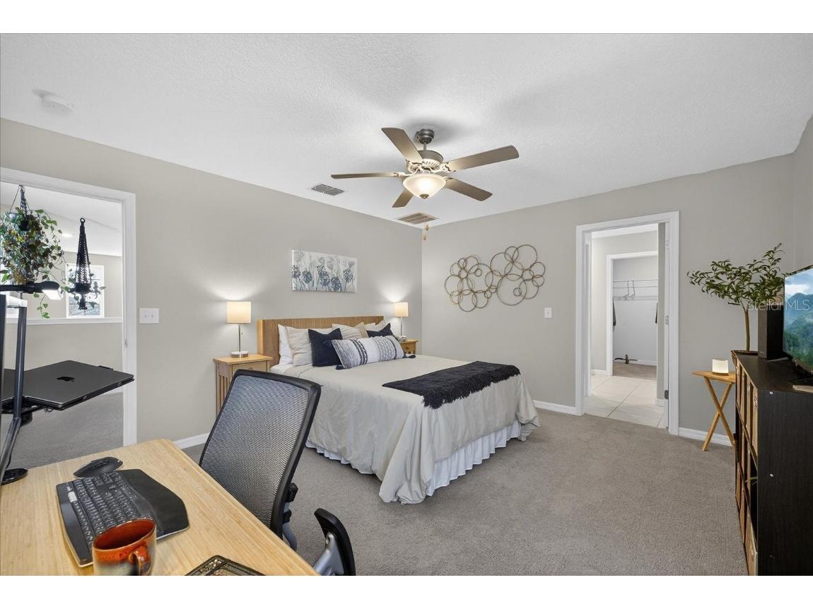 6115 Apple Snail Avenue New Port Richey FL 34653 W7881160 image15