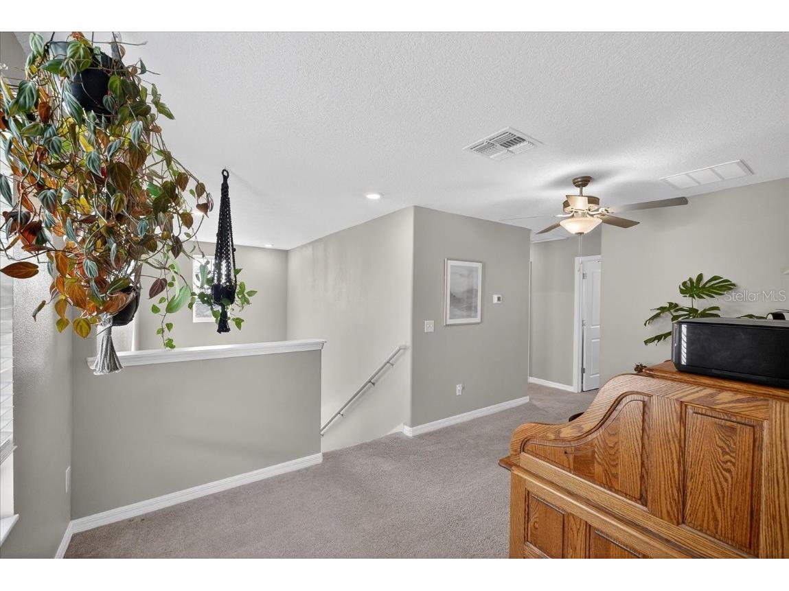 6115 Apple Snail Avenue New Port Richey FL 34653 W7881160 image35