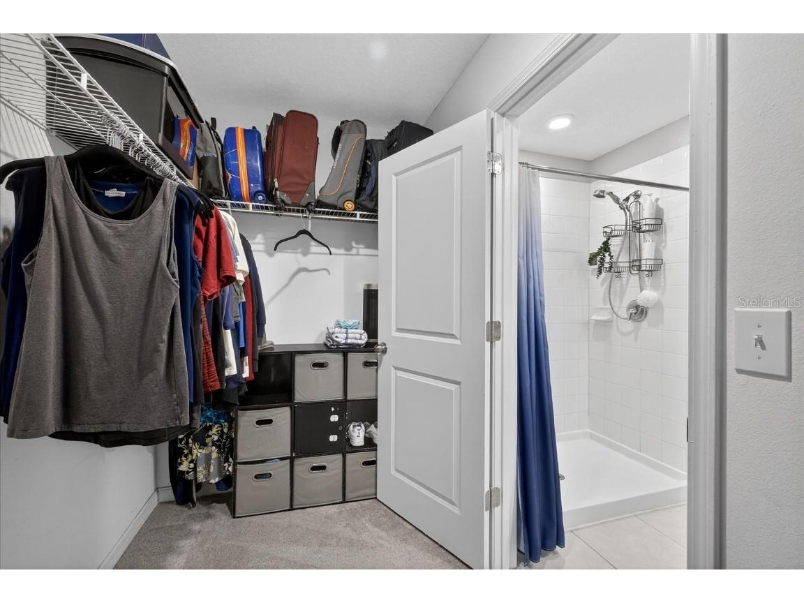 6115 Apple Snail Avenue New Port Richey FL 34653 W7881160 image39