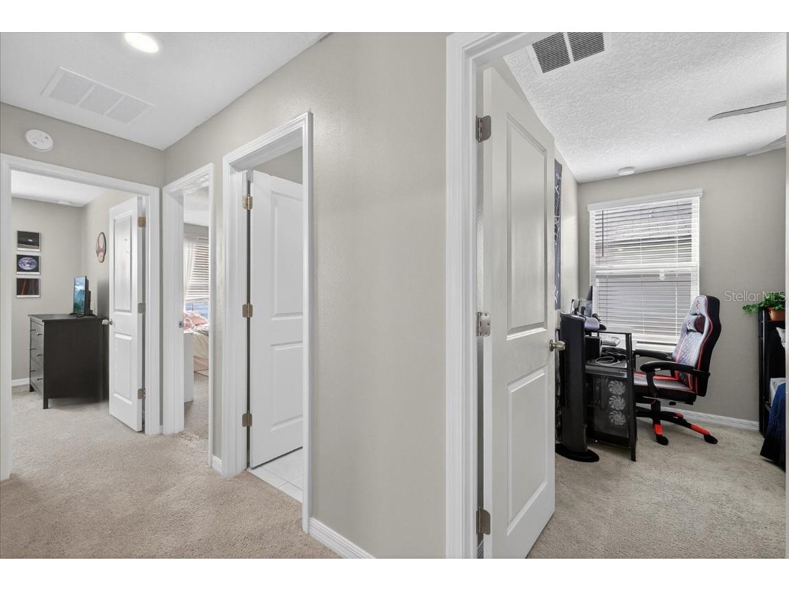 6115 Apple Snail Avenue New Port Richey FL 34653 W7881160 image41