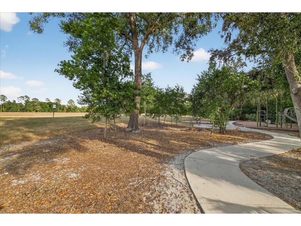 6115 Apple Snail Avenue New Port Richey FL 34653 W7881160 image53