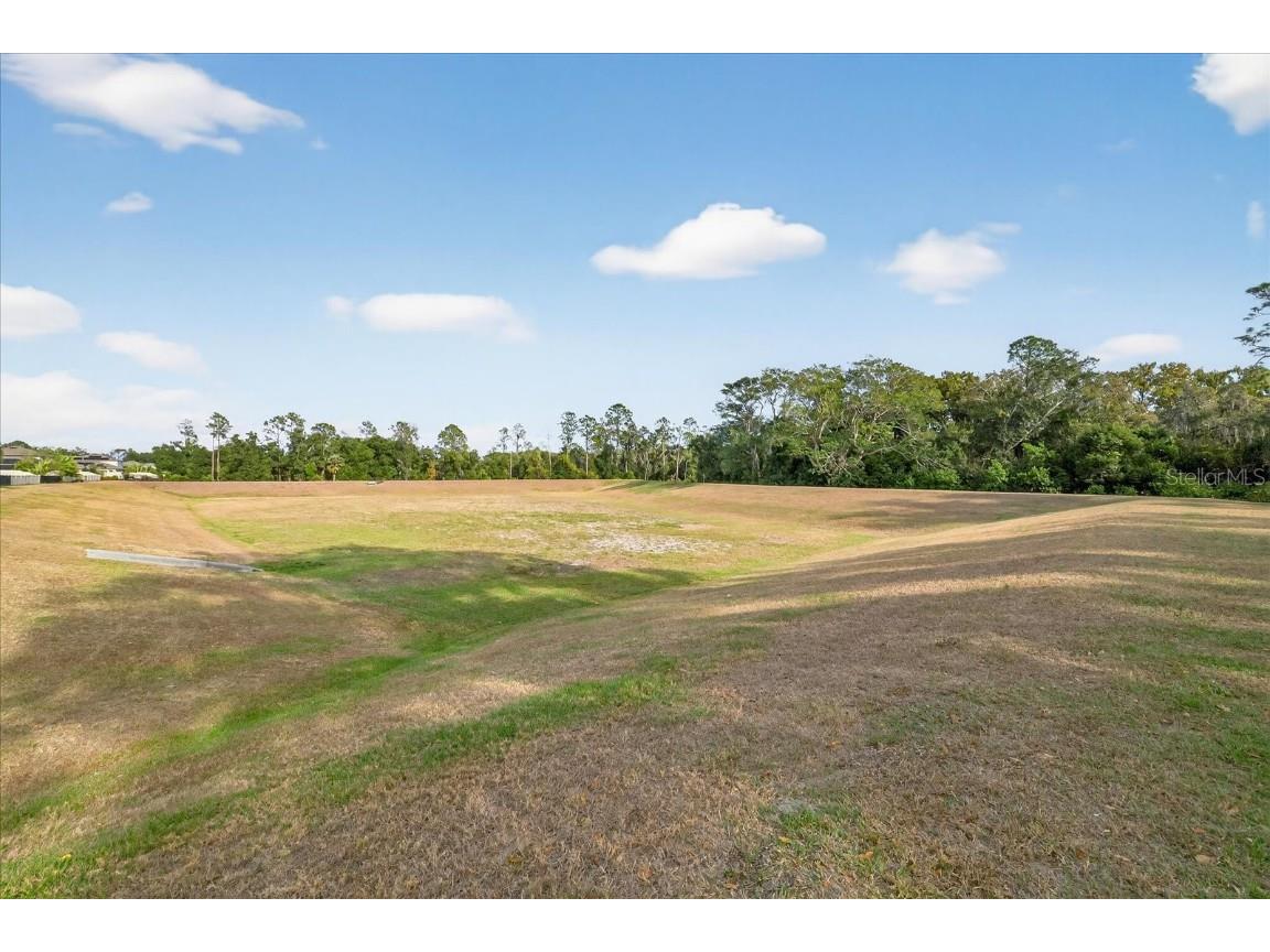 6115 Apple Snail Avenue New Port Richey FL 34653 W7881160 image54