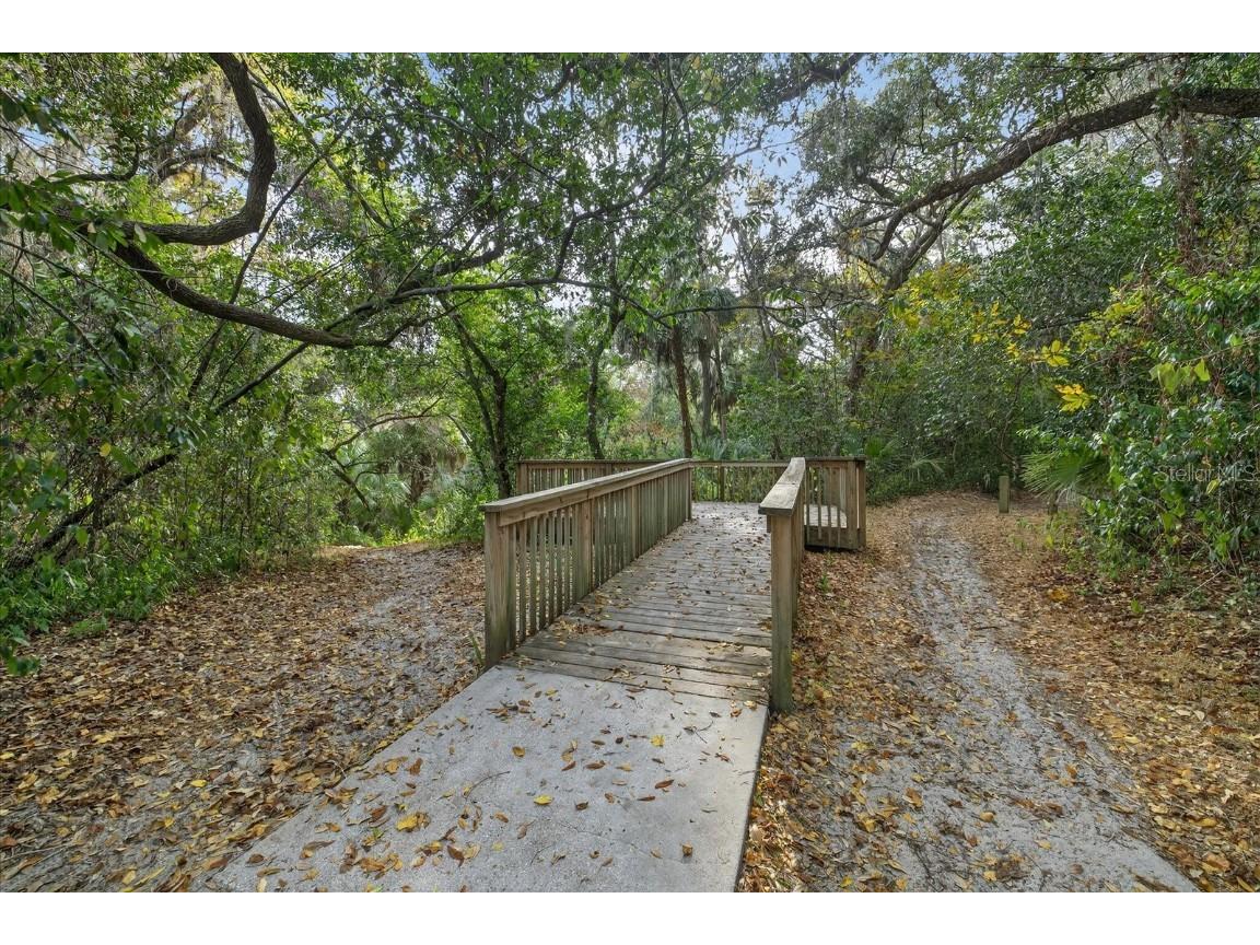 6115 Apple Snail Avenue New Port Richey FL 34653 W7881160 image57