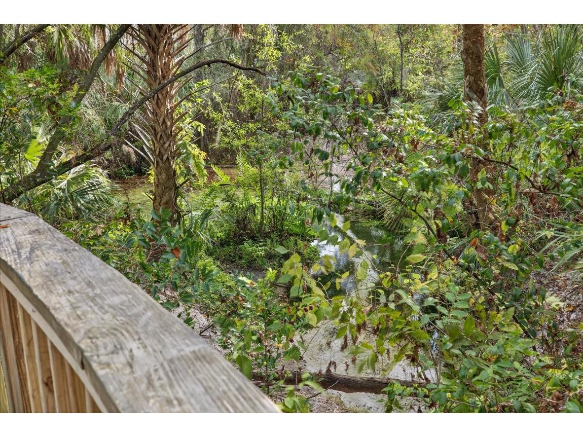 6115 Apple Snail Avenue New Port Richey FL 34653 W7881160 image58