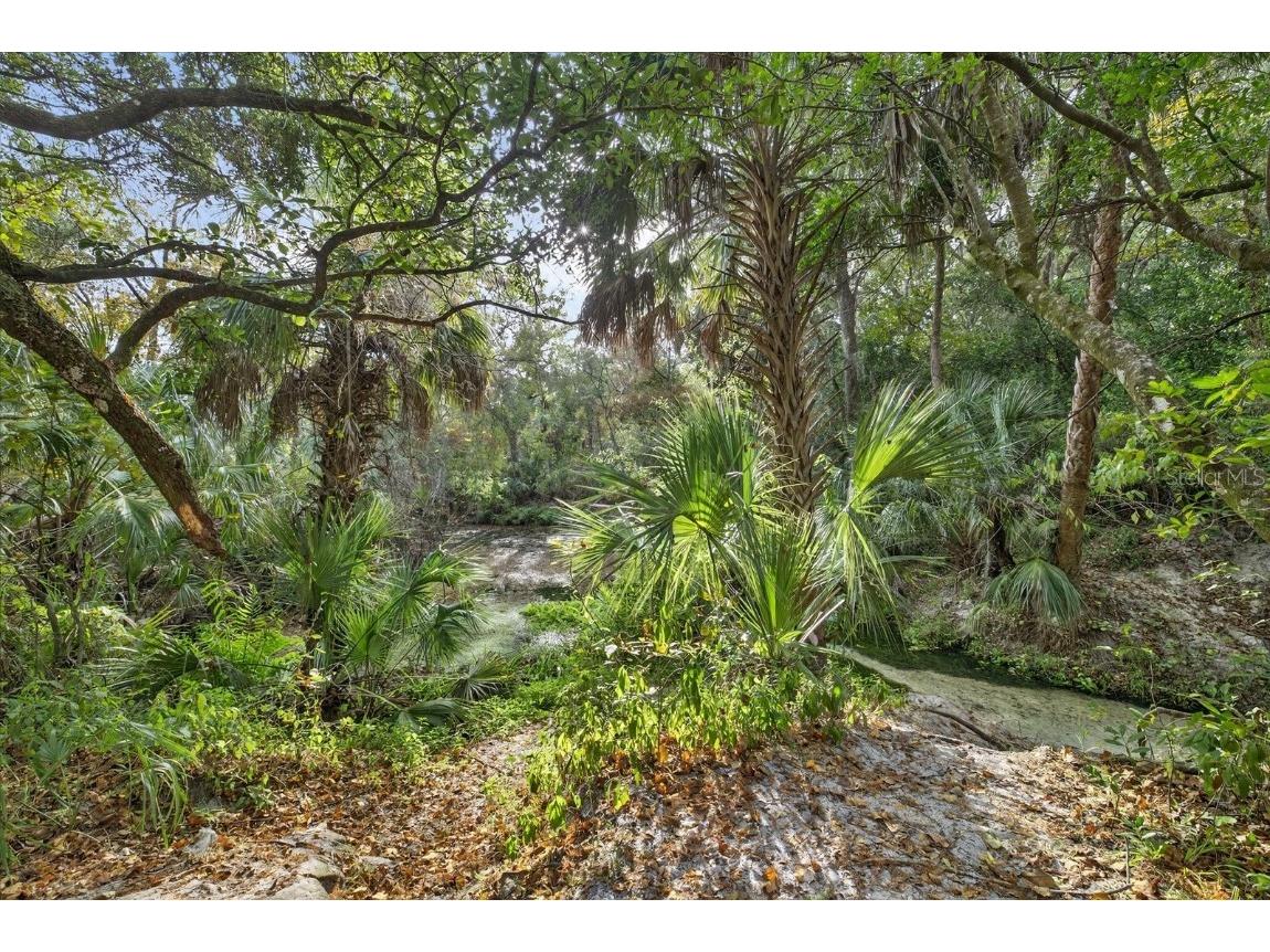 6115 Apple Snail Avenue New Port Richey FL 34653 W7881160 image59