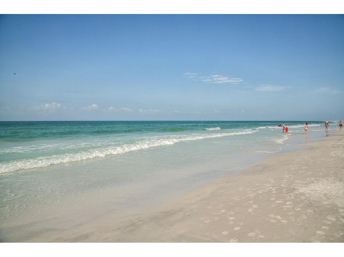 6115 Carlton Avenue Sarasota FL 34231 N6123946 image54