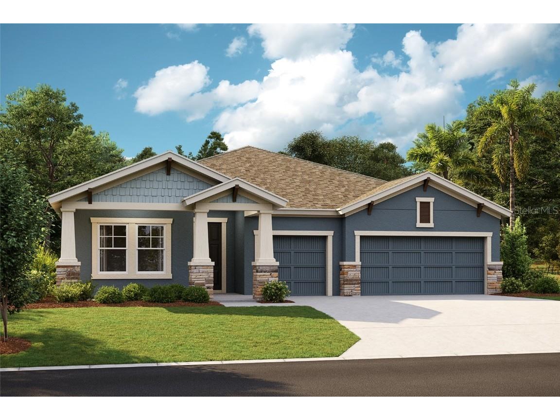 6115 Hidden Branch Drive Apollo Beach FL 33572 T3463606 image1