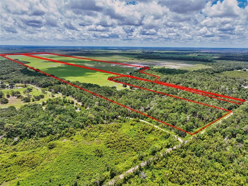 6115 Juel Gill Road Myakka City FL 34251 A4572006 image1