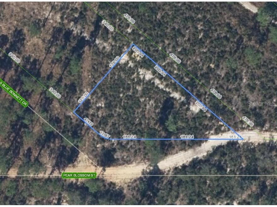 6115 Pear Blossom Street Sebring FL 33876 O6301999 image1