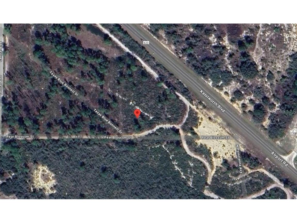 6115 Pear Blossom Street Sebring FL 33876 O6301999 image6