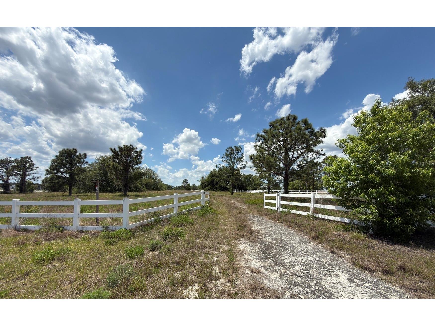 6115 Ranch Lake Road Groveland FL 34736 G5111488 image12