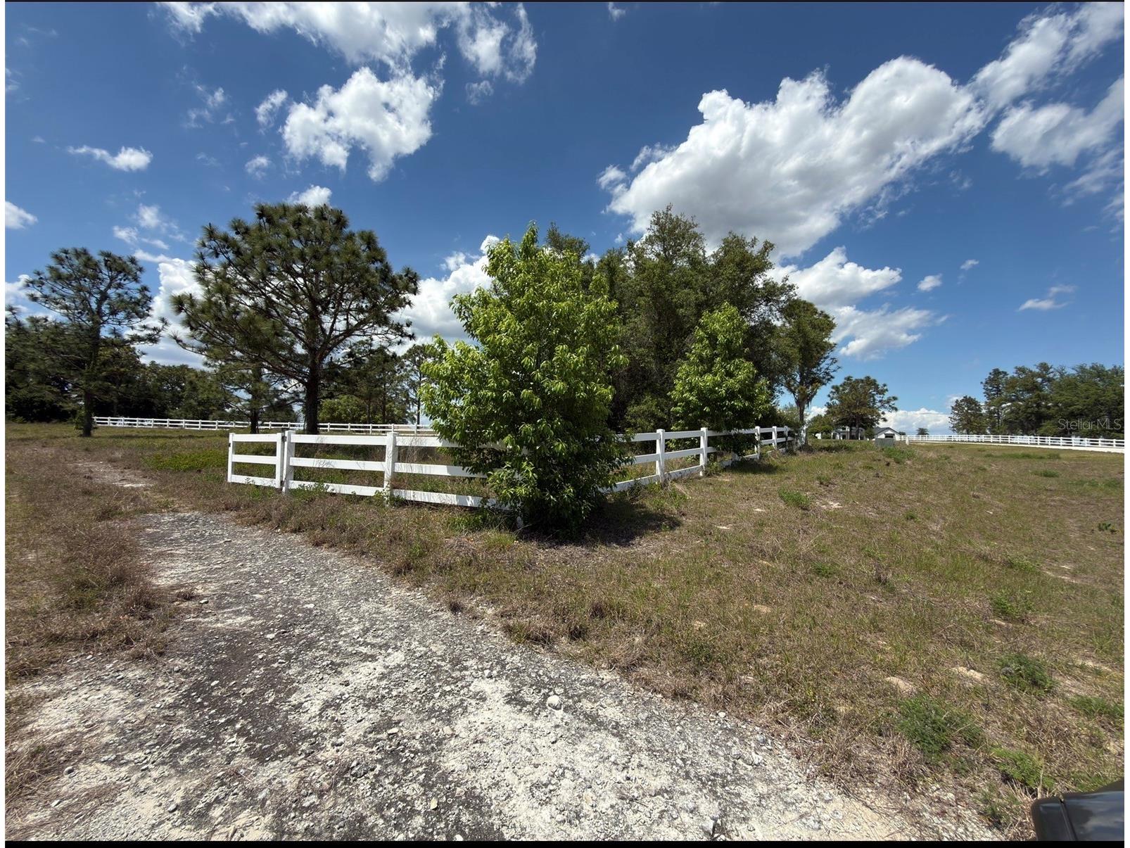 6115 Ranch Lake Road Groveland FL 34736 G5111488 image13