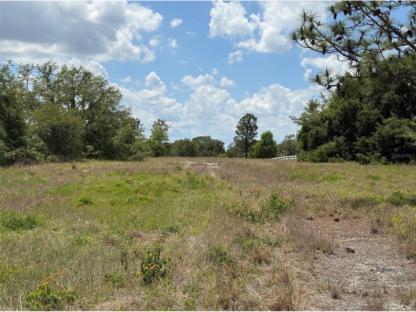 6115 Ranch Lake Road Groveland FL 34736 G5111488 image17
