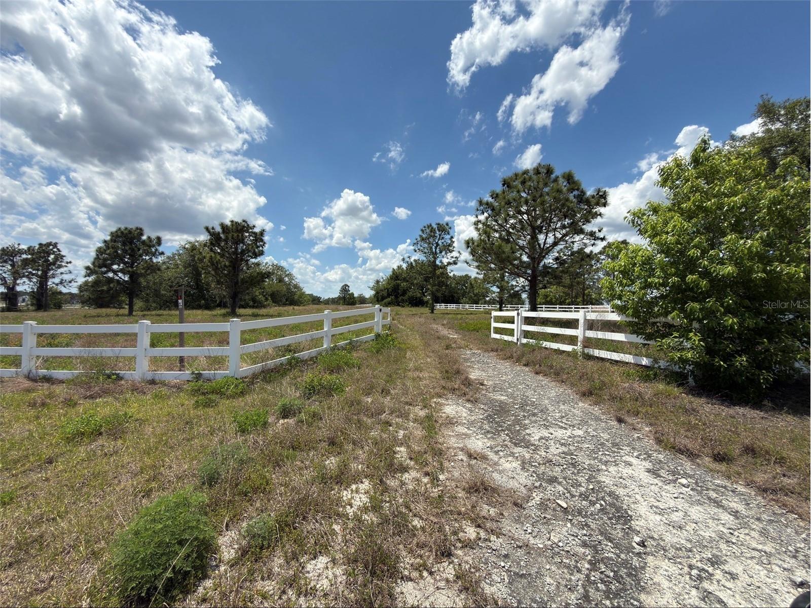 6115 Ranch Lake Road Groveland FL 34736 G5111488 image2