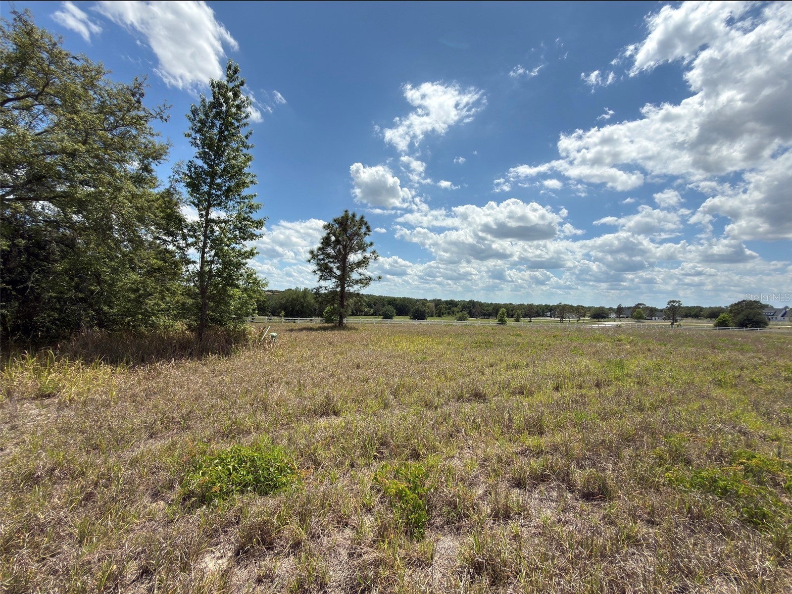 6115 Ranch Lake Road Groveland FL 34736 G5111488 image23
