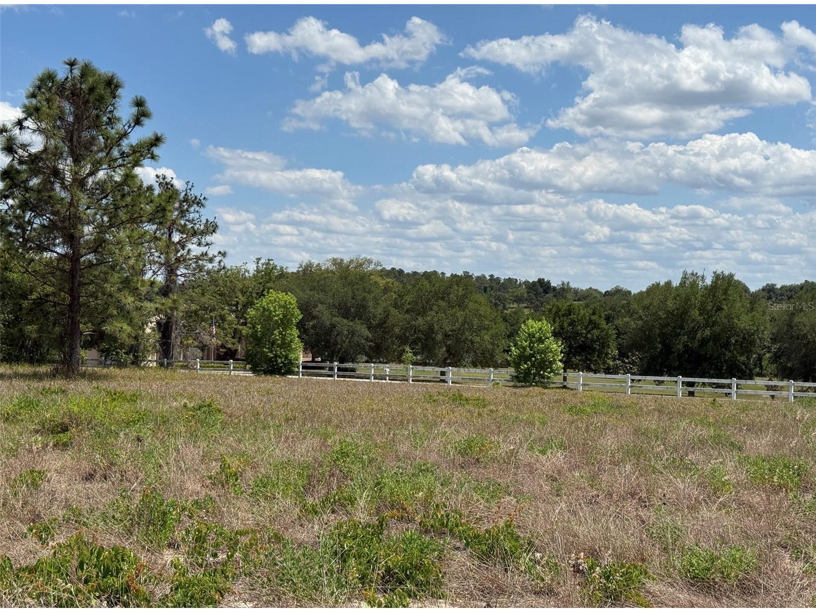 6115 Ranch Lake Road Groveland FL 34736 G5111488 image25