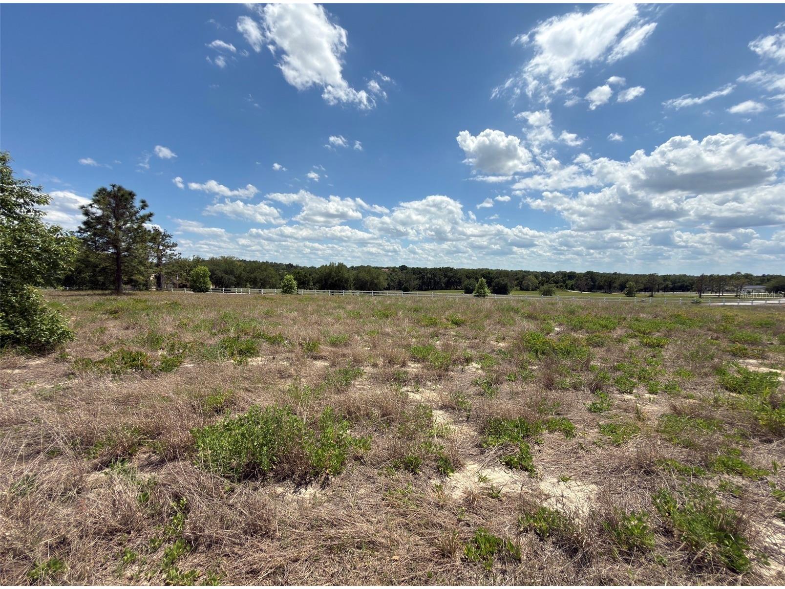 6115 Ranch Lake Road Groveland FL 34736 G5111488 image26