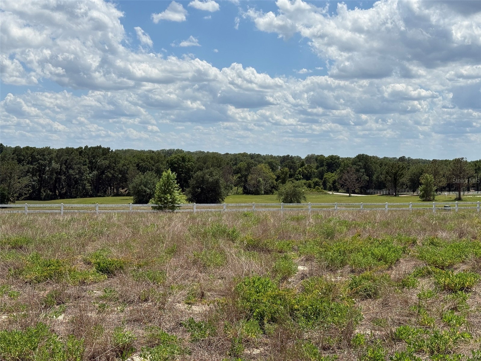 6115 Ranch Lake Road Groveland FL 34736 G5111488 image27