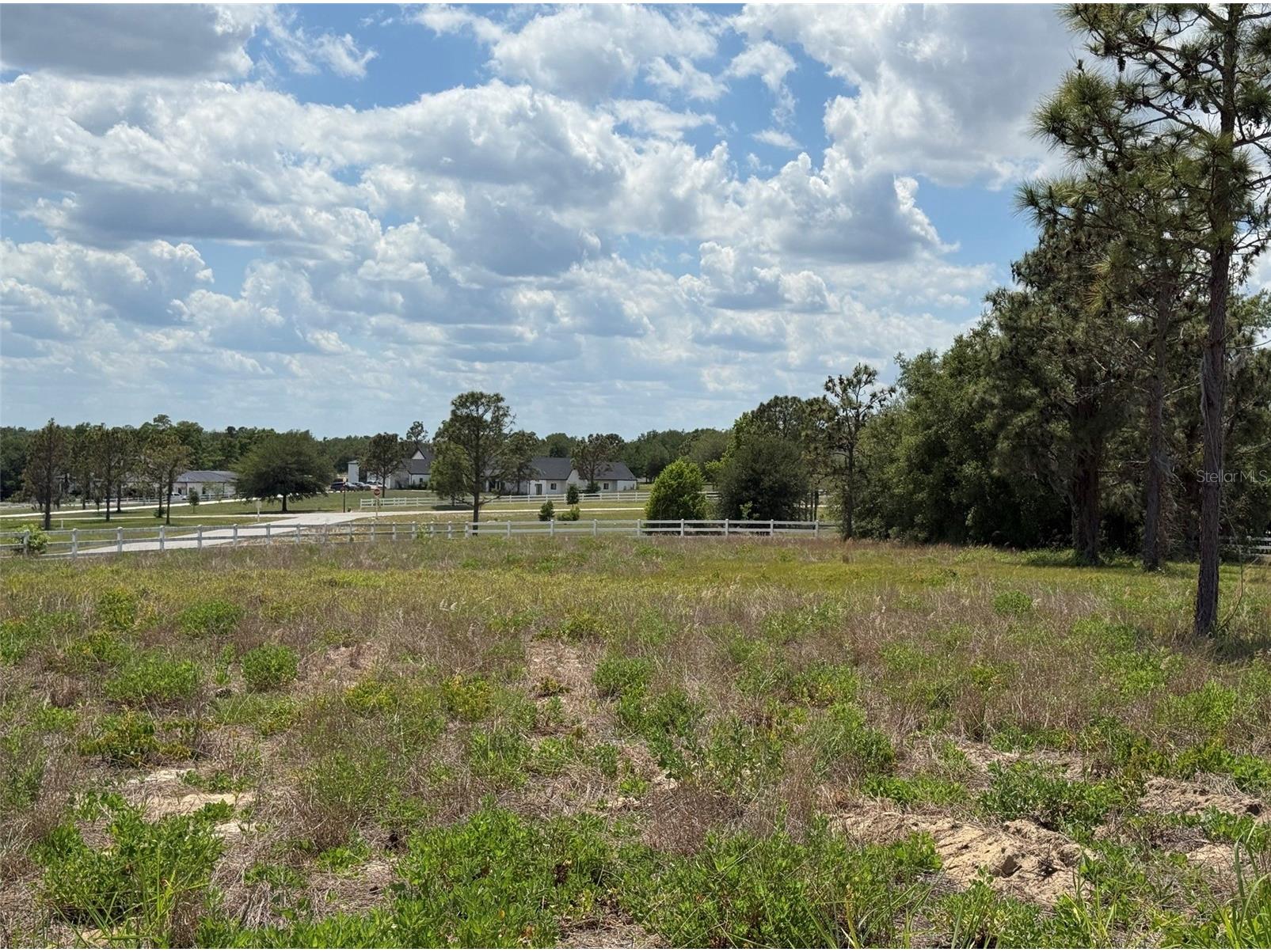 6115 Ranch Lake Road Groveland FL 34736 G5111488 image28