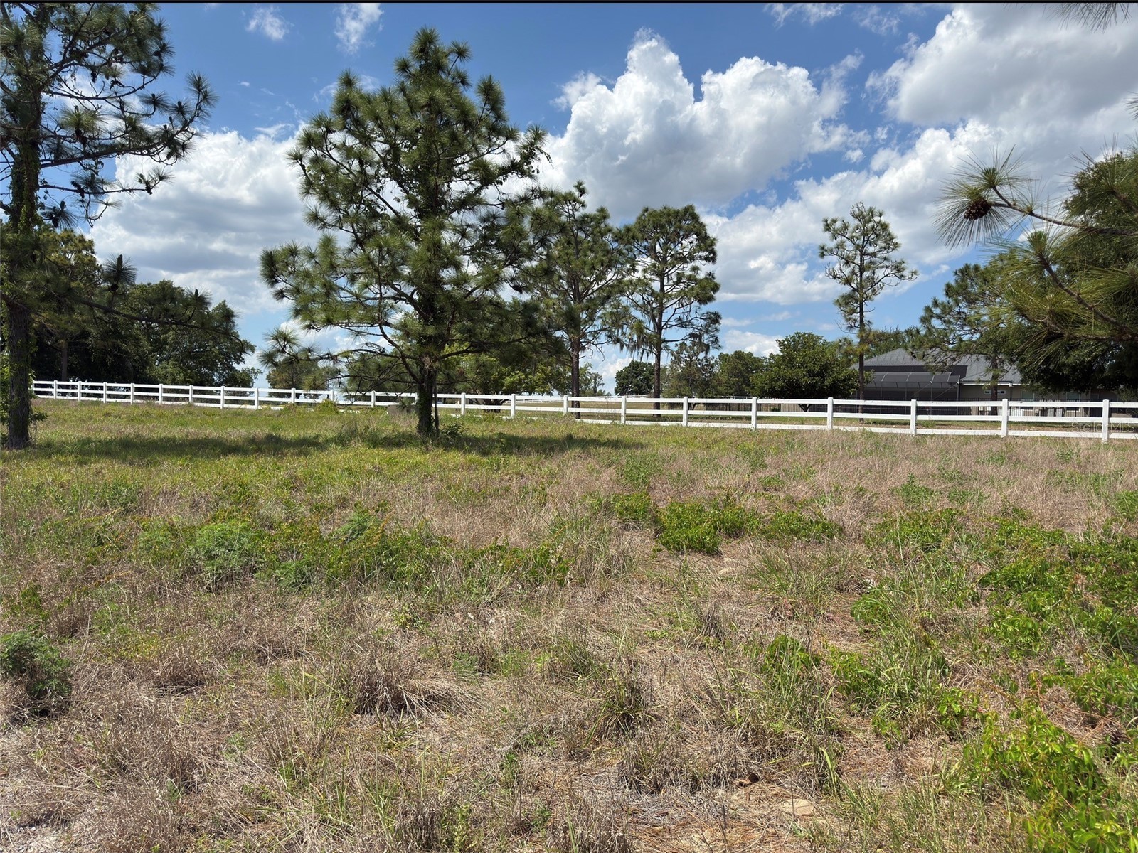 6115 Ranch Lake Road Groveland FL 34736 G5111488 image3