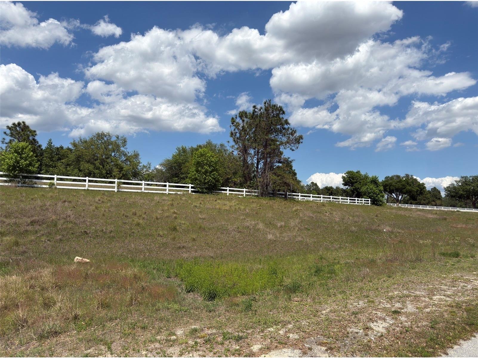 6115 Ranch Lake Road Groveland FL 34736 G5111488 image8