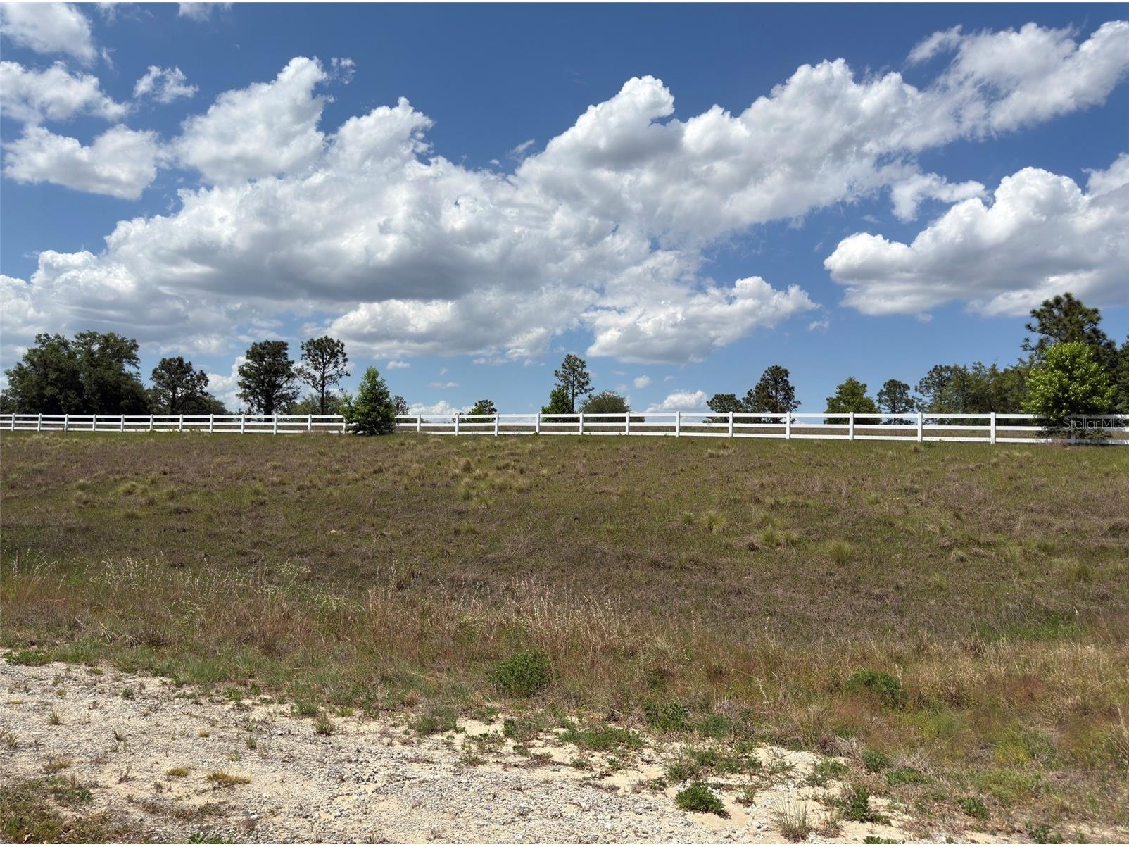 6115 Ranch Lake Road Groveland FL 34736 G5111488 image9