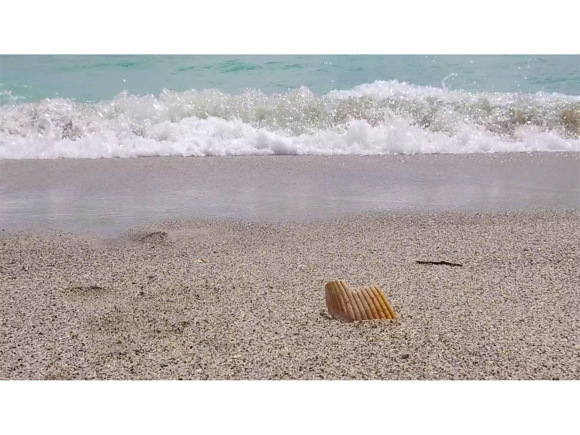 6115 Shearwater Drive Englewood FL 34224 D6146605 image52