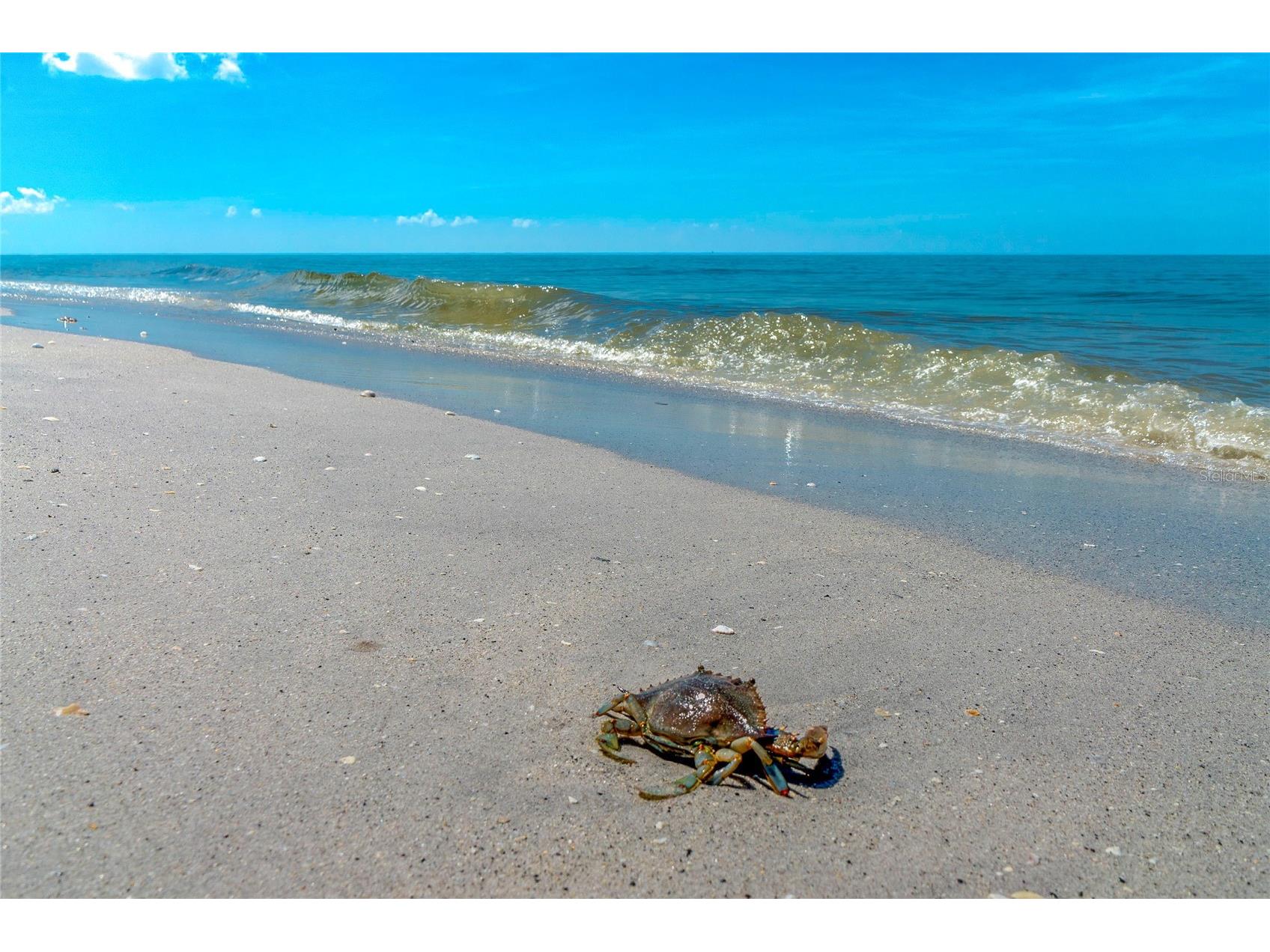 6115 Shearwater Drive Englewood FL 34224 D6146605 image53