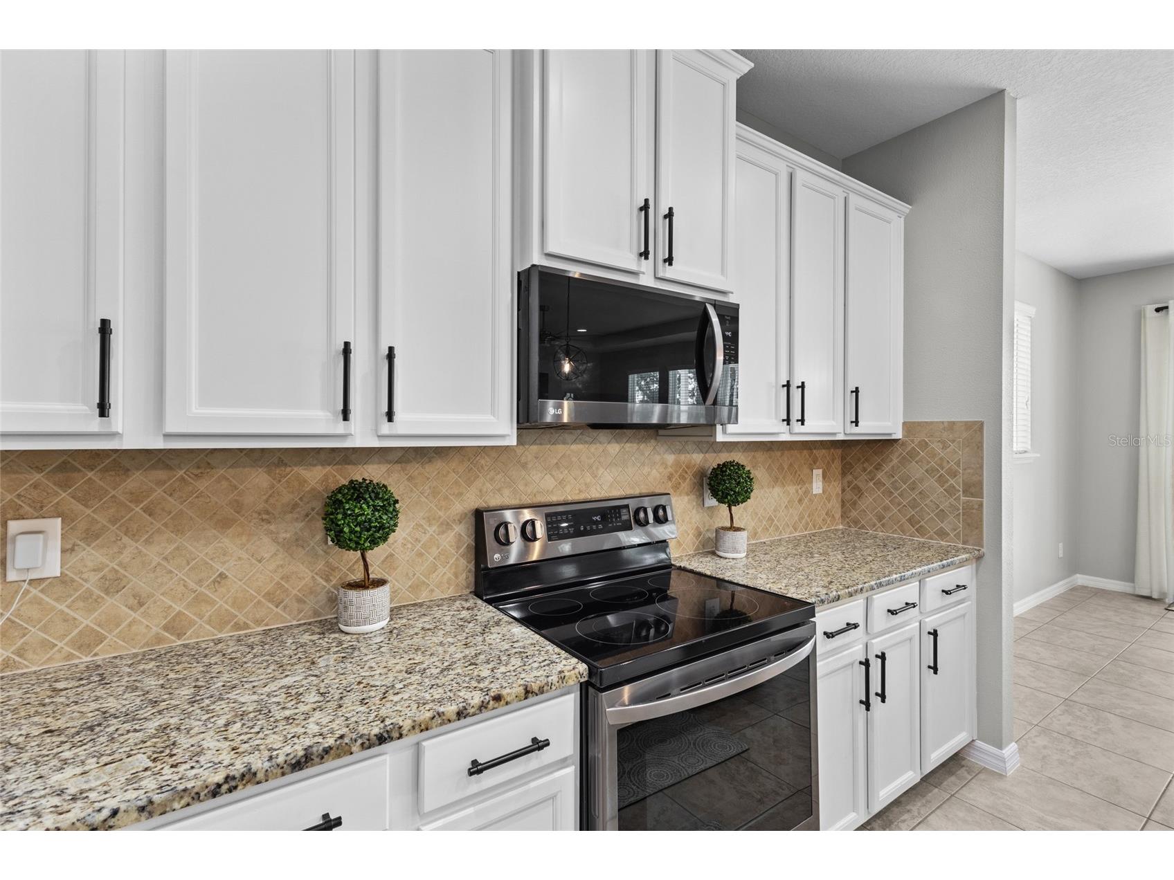 6116 35th Court E Bradenton FL 34203 N6144524 image14