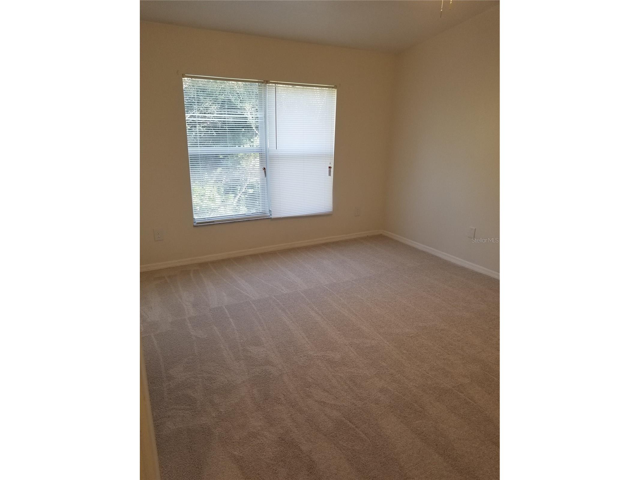 6116 Olivedale Drive Riverview FL 33578 TB8456338 image10