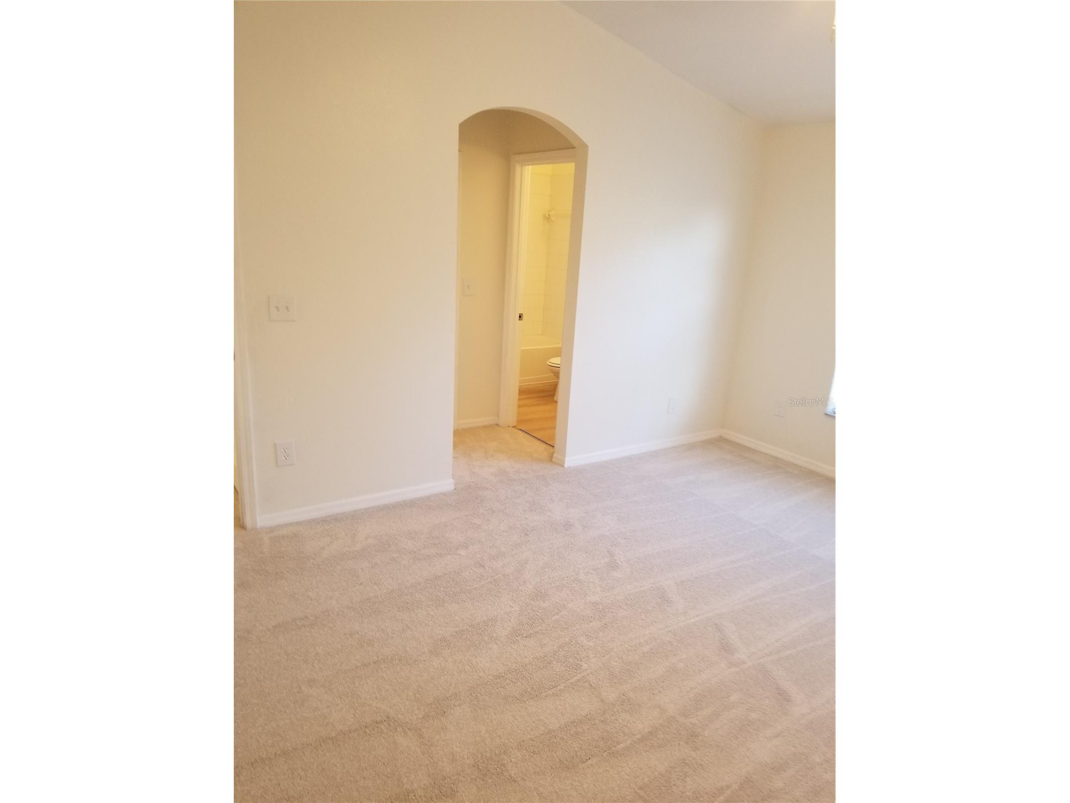 6116 Olivedale Drive Riverview FL 33578 TB8456338 image12