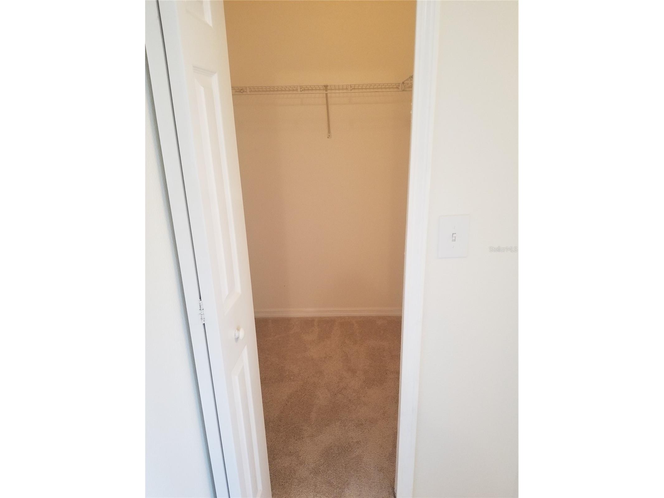 6116 Olivedale Drive Riverview FL 33578 TB8456338 image13