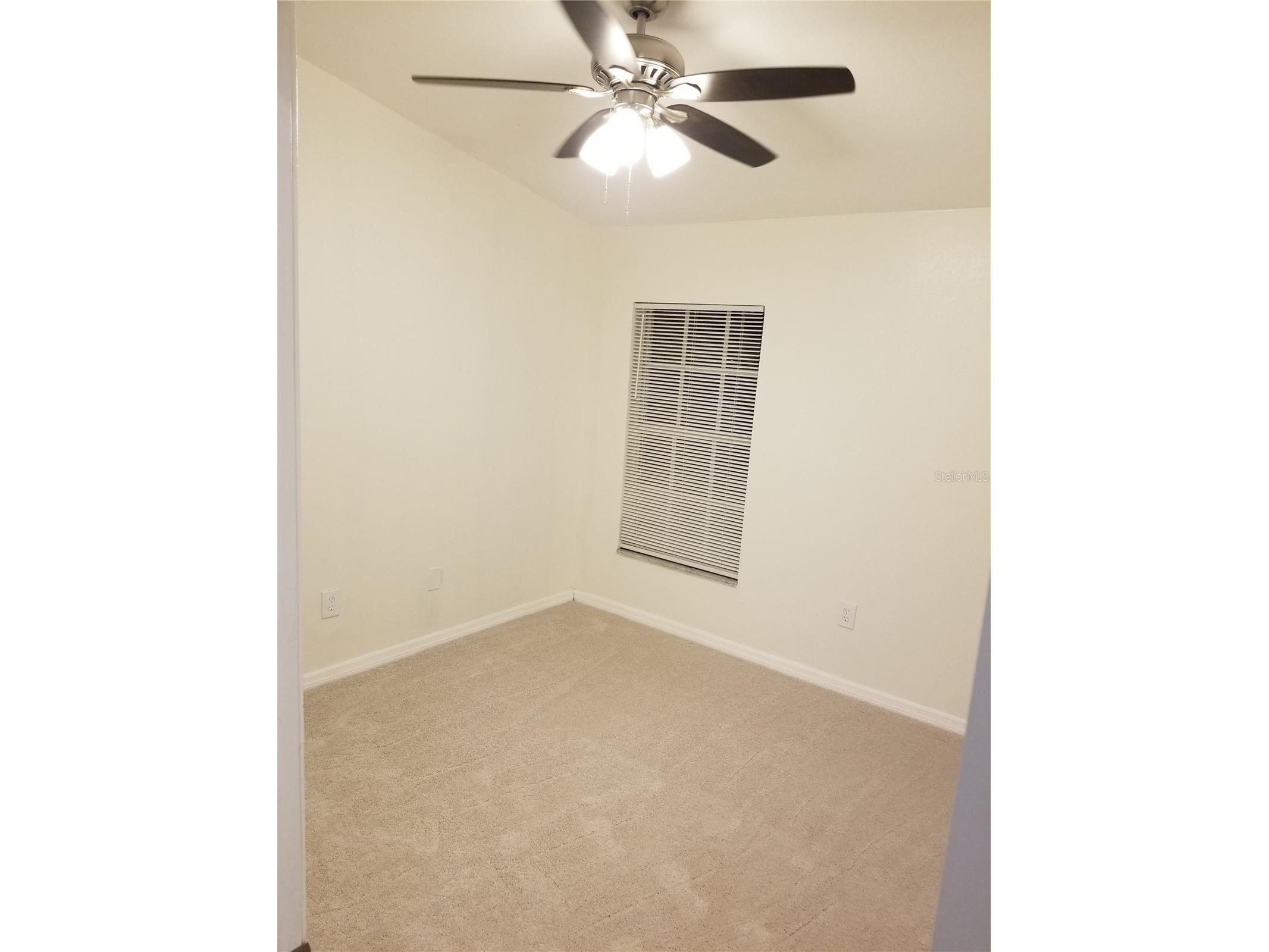 6116 Olivedale Drive Riverview FL 33578 TB8456338 image17