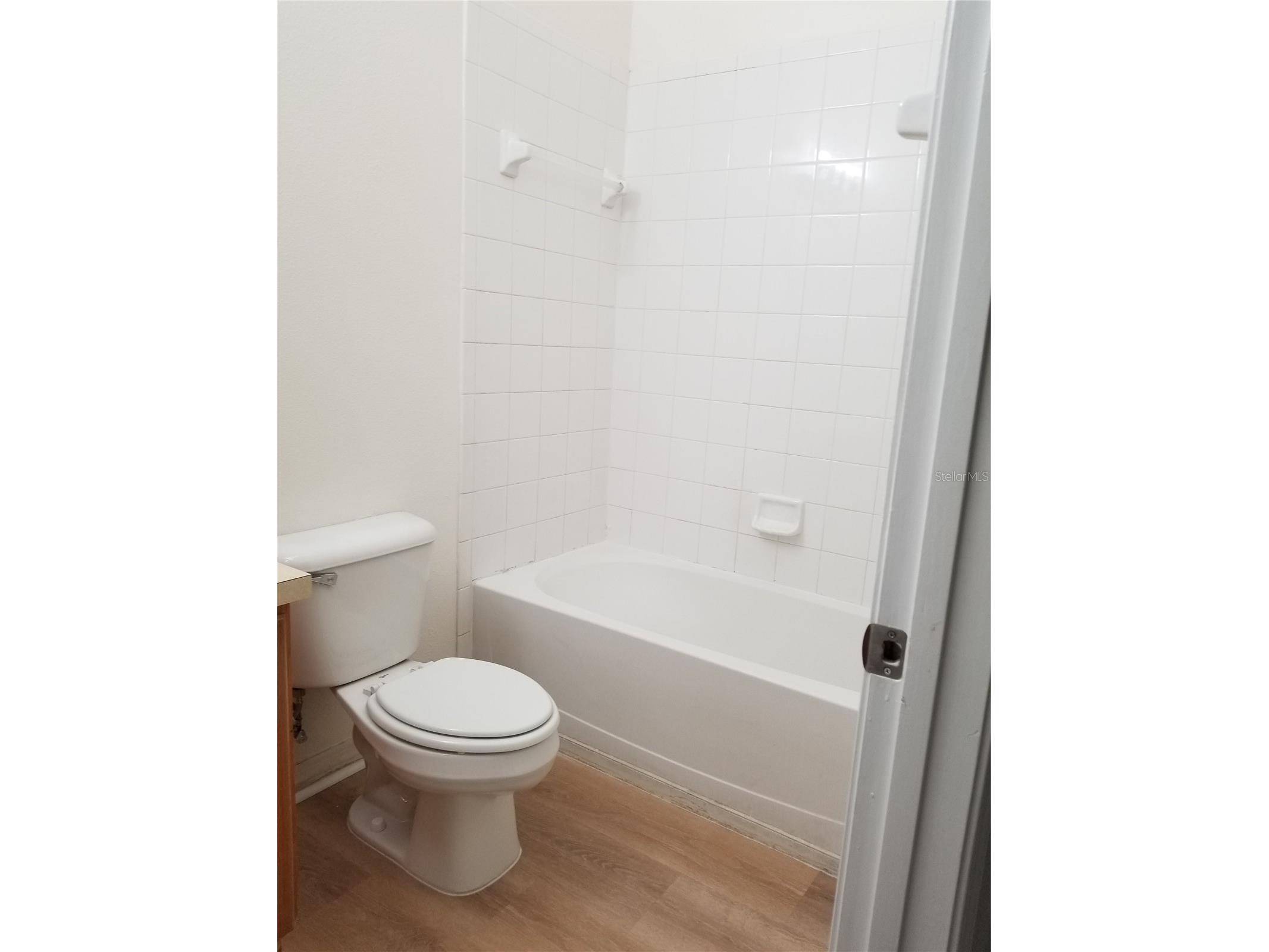 6116 Olivedale Drive Riverview FL 33578 TB8456338 image19