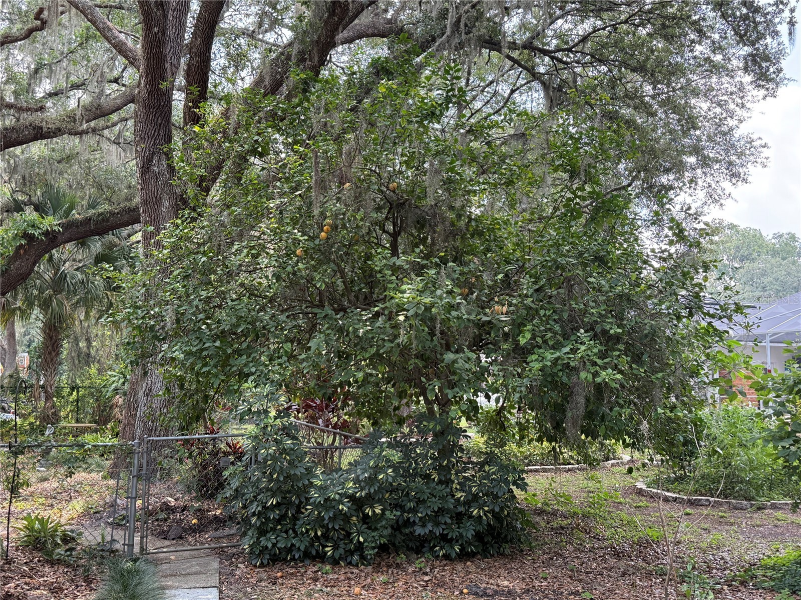 6116 Sweet Gum Run A Bartow FL 33830 L4953225 image5