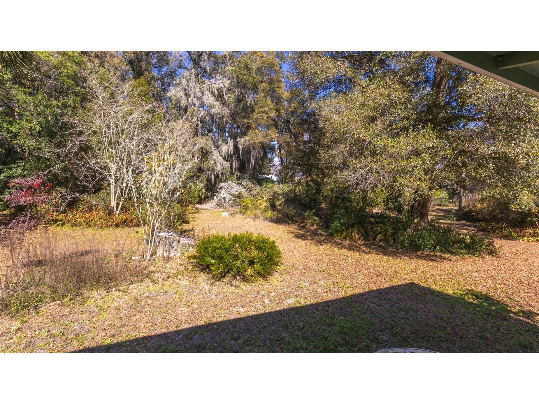 6116 Trout Street Melrose FL 32666 - MELROSE BAY GC536430 image8