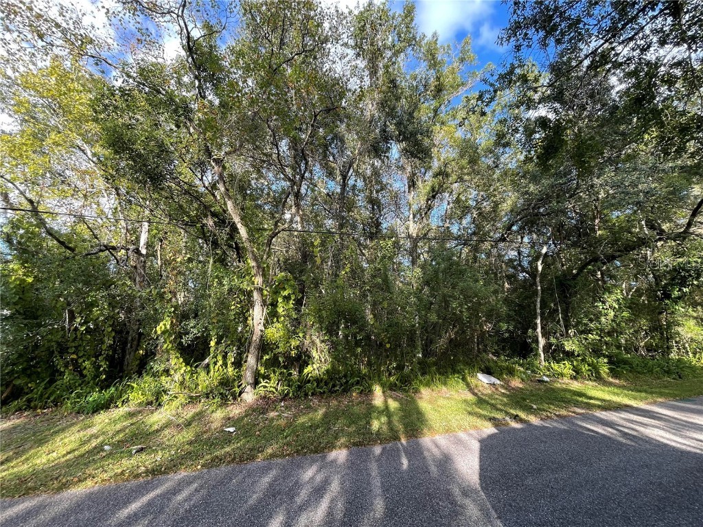 6117 Cornelia Avenue Orlando FL 32807 O6153304 image1