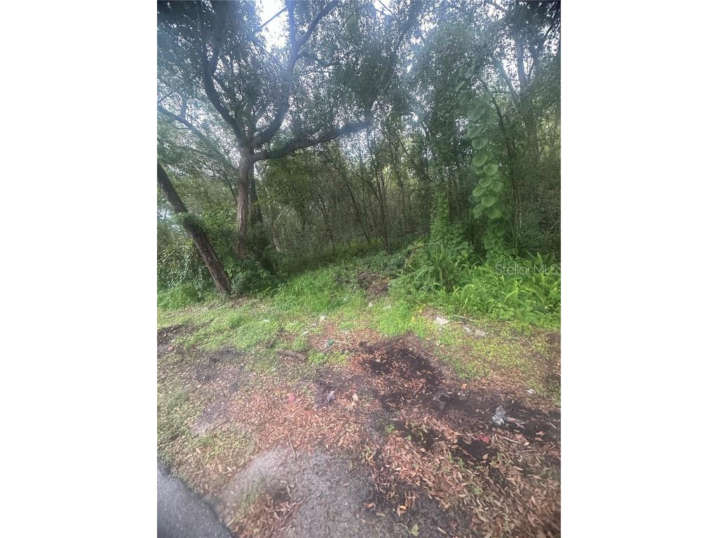 6117 Cornelia Avenue Orlando FL 32807 O6349732 image2