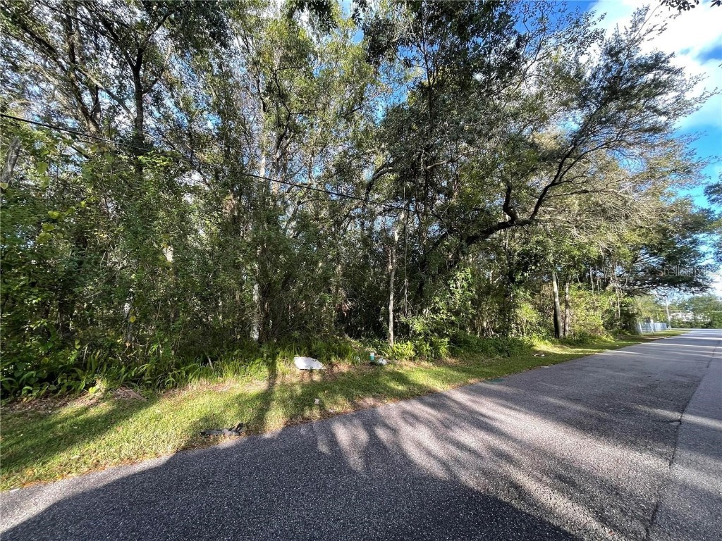 6117 Cornelia Avenue Orlando FL 32807 O6349732 image4