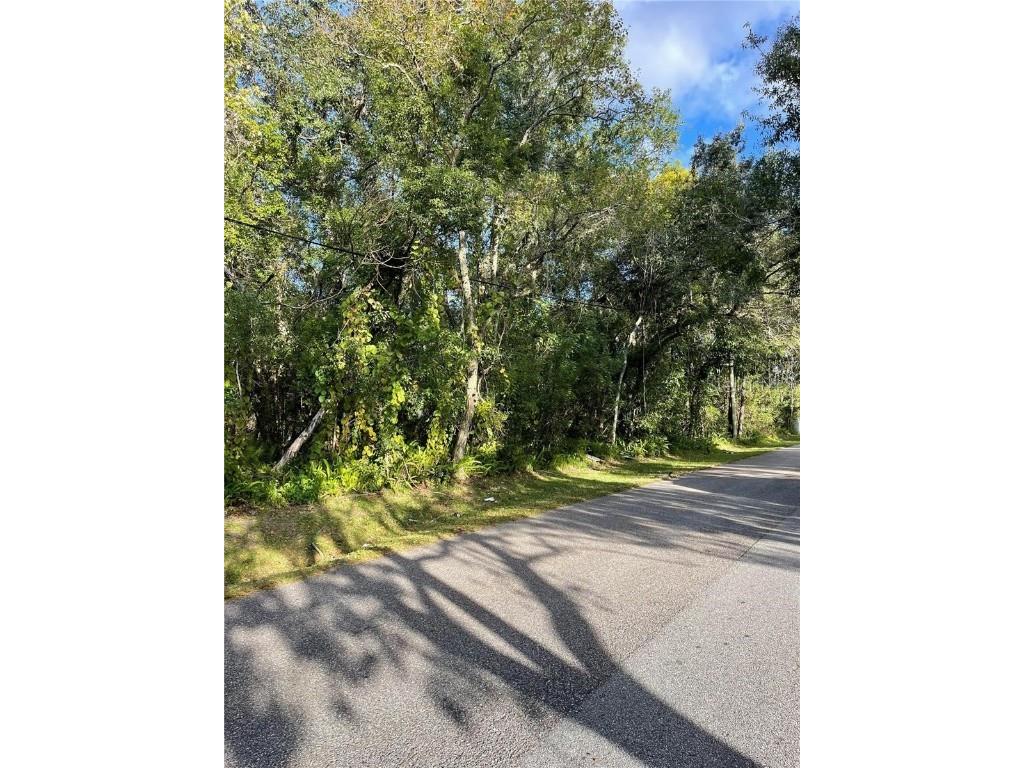 6117 Cornelia Avenue Orlando FL 32807 O6349732 image6