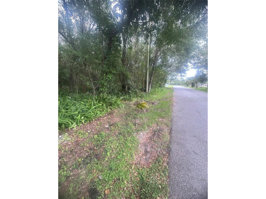 6117 Cornelia Avenue Orlando FL 32807 O6349732 image8