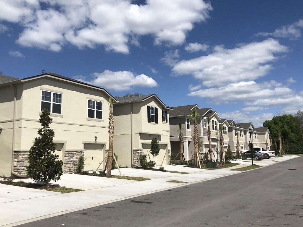 6117 Grand Sonata Avenue Lutz FL 33558 T3488410 image1