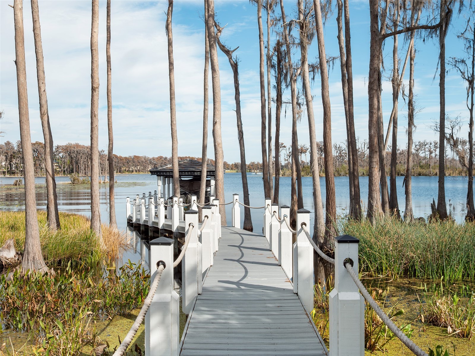 6117 Louise Cove Drive Windermere FL 34786 - LAKE LOUISE O6372197 image44