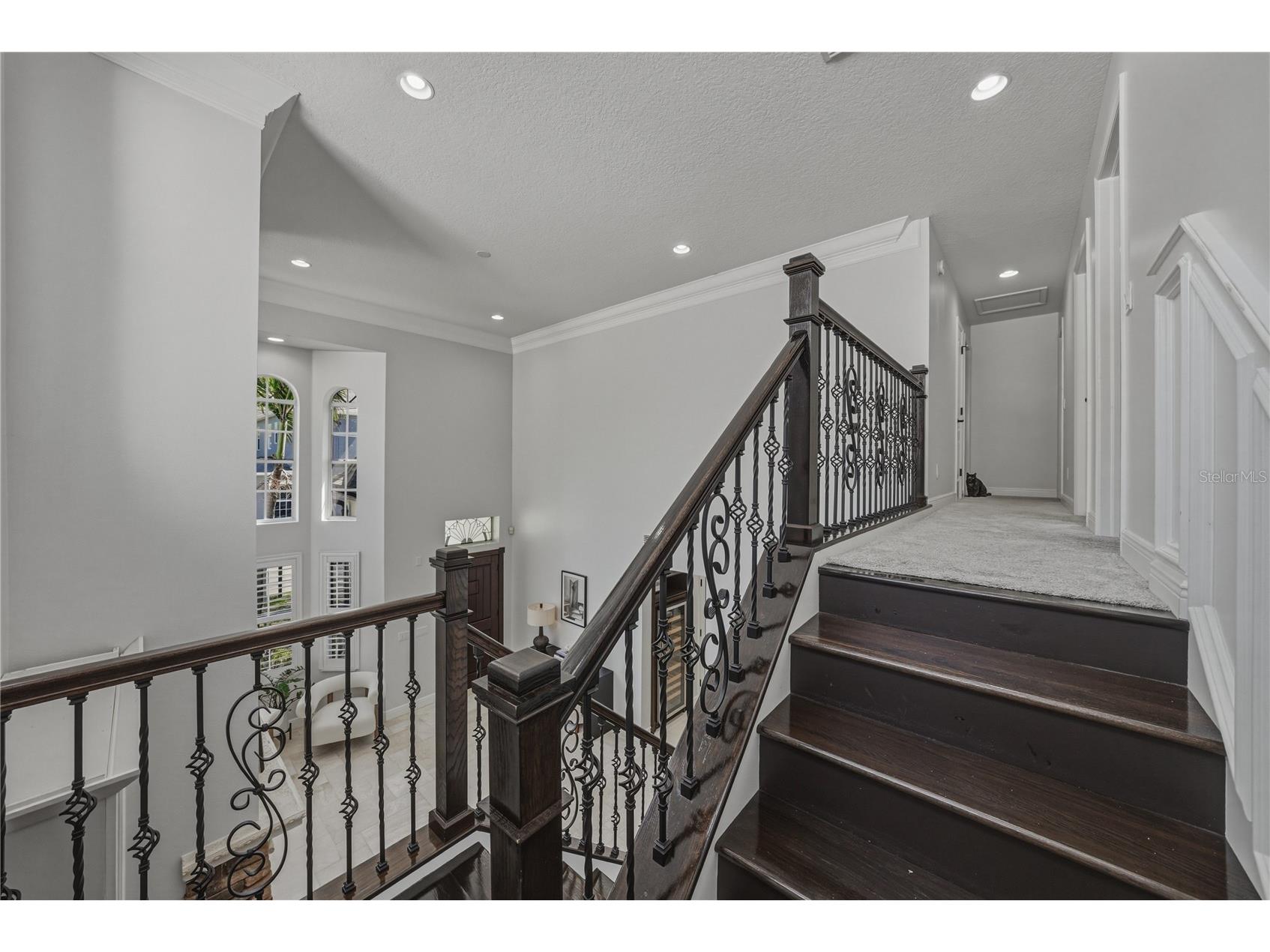 6117 S Russell Street Tampa FL 33611 TB8489014 image38